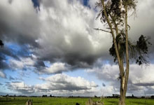 悟空体育:郵報報道西漢姆列入特裏皮爾候選名單球員合同即將到期.