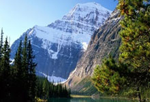 悟空体育:曼聯應對布萊頓有三個右邊鋒解決方案!.